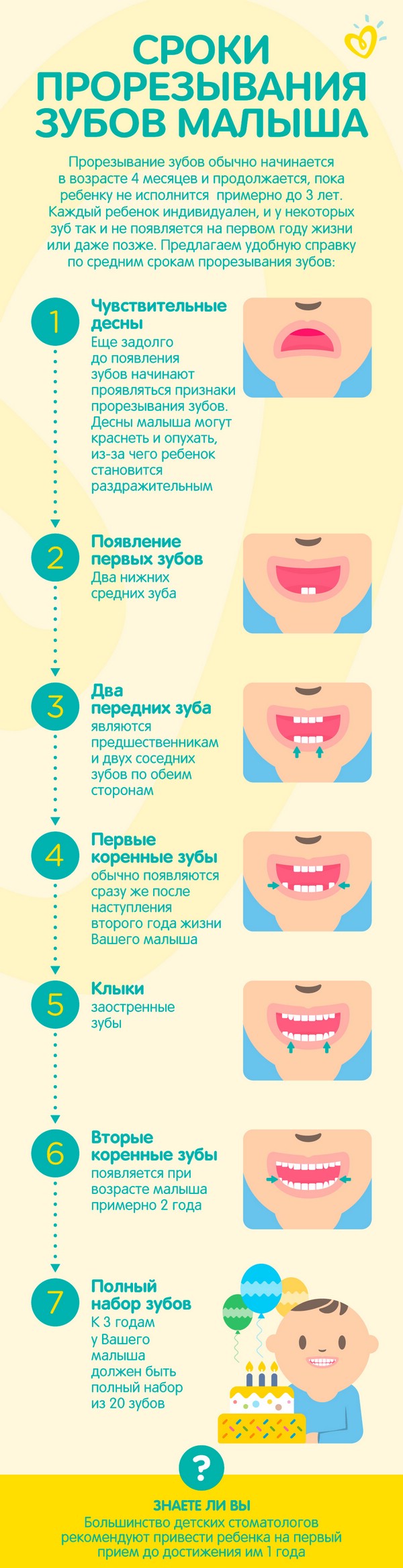 Сроки прорезывания зубов у малыша